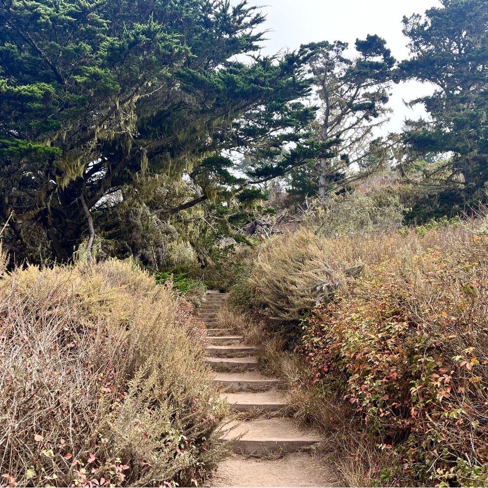 Meet your Posher, Ursula